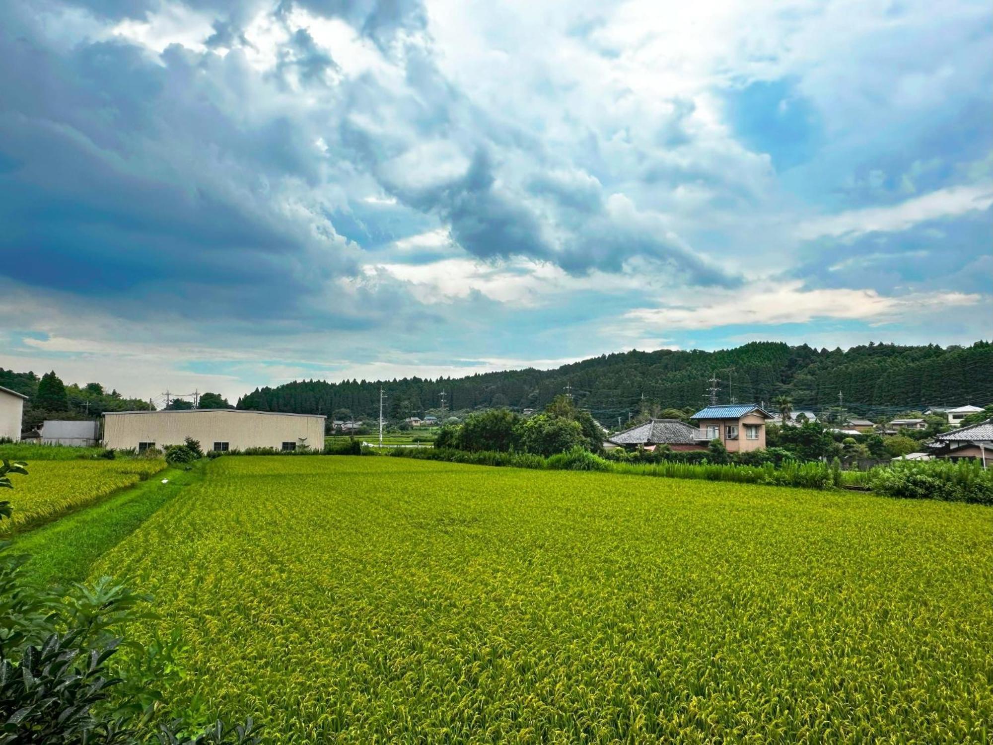 Kominato Railway Resort - Vacation Stay 72130V Ichihara Exteriér fotografie